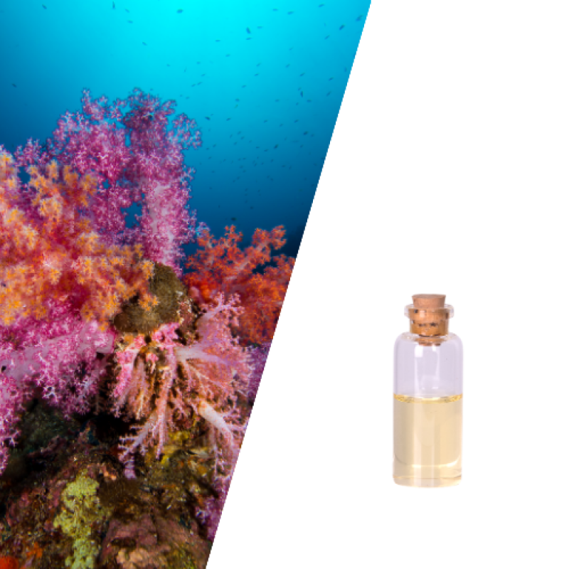 Instant Firming and Lifting Anti-Wrinkle Peptides Collagen Supplement Skin Reborn Face Cream & Lotion for Collagen Regeneration