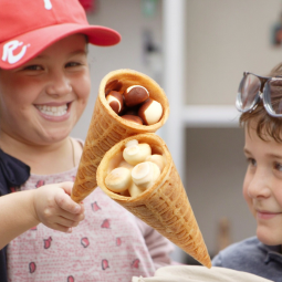 Chocolate Chip Cookies Factory - Wholesale Halal Ingredients for Kids