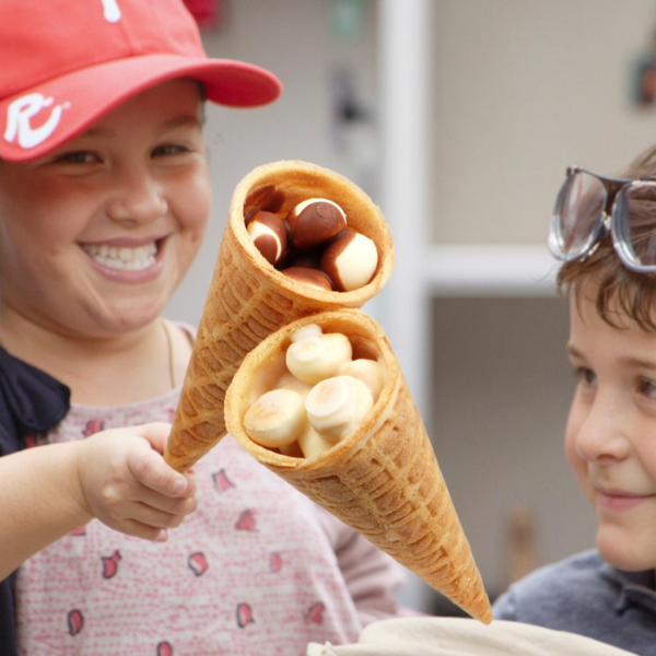 Chocolate Chip Cookies Factory - Wholesale Halal Ingredients for Kids