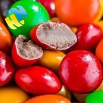 Sugar Coated Chocolate Beans Factory - Custom Halal Crisp for Children