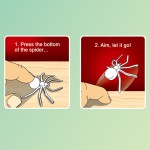 Jumping Spiders Game Manufacturer - Educational Board Toys Party