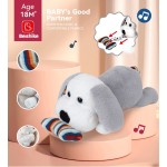 Plush Toy Supplier - Custom Long Ear Rabbit Stuffed Gift