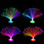 Fiber Optic Lamp Supplier - Christmas Decoration Shine Dark Kids