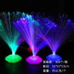 Fiber Optic Lamp Supplier - Christmas Decoration Shine Dark Kids