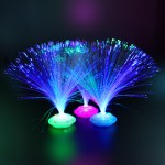 Fiber Optic Lamp Supplier - Christmas Decoration Shine Dark Kids