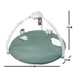 Textured Play Gym Mat Supplier - Tummy Time Sensory Motor Skills