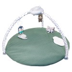 Textured Play Gym Mat Supplier - Tummy Time Sensory Motor Skills