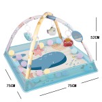 Baby Fitness Mat Supplier - Plush Crawl Mats 18 Ocean Balls