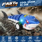 RC Shark Car Supplier - 2.4GHz Simulation Cool Light Drift