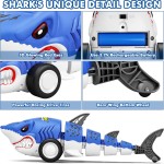 RC Shark Car Supplier - 2.4GHz Simulation Cool Light Drift