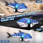 RC Shark Car Supplier - 2.4GHz Simulation Cool Light Drift