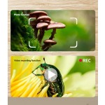 Handheld Microscope Supplier - Coin Digital Magnifying Science Kit