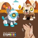 Smart Robot Toy Supplier - Interactive Remote Control Puppy DIY