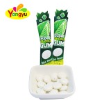 Mint Chewing Gum Factory - Super Cool Flavor Hot Selling