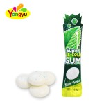 Mint Chewing Gum Factory - Super Cool Flavor Hot Selling