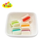 Chewing Gum Manufacturer - Various Fruit Flavors Customizable