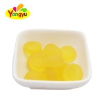 Dinosaur Candy Manufacturer - Shaped Fruity Sour Sweet Chewy