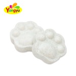 Probiotic Milk Tablets Factory - with Lutein Fruity Flavor