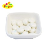 Mint Chewing Gum Factory - Super Cool Flavor Hot Selling