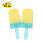 Ice Cream Lollipop Manufacturer - Fruity Flavored Chewy Gummy