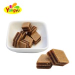 Hawthorn Fruit Leather Manufacturer - Children Nutritional Snack Dried