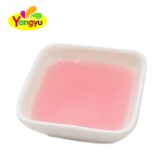 Jelly Pudding Slices Manufacturer - Fruit Flavored Bag Snacks