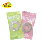 Mint Whistle Candy Manufacturer - Chocolate Tablet Fresh Breath