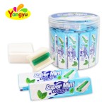 Mint Bubble Gum Manufacturer - Individual Packaging Super Cool