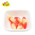 Gummy Sticks Manufacturer - Halal Dipped in Jam Fruity