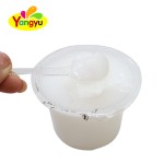 Jelly Pudding Cup Factory - Fruit Flavored with Spoon Dessert