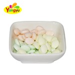 Hard Candy Manufacturer - Fruity Sour Popular Sweet Treat