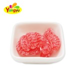 Orange Slice Lollipops Supplier - Gummy Shaped Perfect Snacks