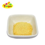Instant Juice Powder Supplier - Halal Fruit Flavor Drink