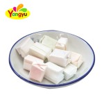 Chewing Gum Manufacturer - Various Fruit Flavors Customizable