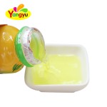 Ice Cream Jelly Factory - Flavored Pudding Bars Snacks