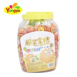 Kumquat Lollipops Supplier - Shaped Chewy Soft Gum