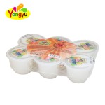 Jelly Pudding Cup Factory - Fruit Flavored with Spoon Dessert