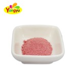 Instant Powder Drink Factory - Strawberry Flavor Fruit Drink