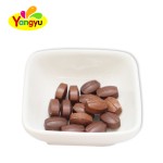 Coffee Bean Tablets Factory - Chewable Delicious Premium Flavor