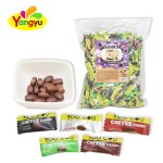 Coffee Bean Tablets Factory - Chewable Delicious Premium Flavor