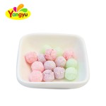 Hard Candy Supplier - High Quality Sour Sweet Fruit