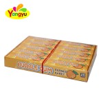 Bubble Chewing-Gum Manufacturer - New Product Fruit Flavored Halal