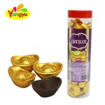 Gold Ingot Chocolate Manufacturer - Shaped in Jar Chocolate