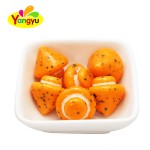 Chewing Gum Supplier - Mushroom Shaped Colorful Fruity Box