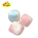Crispy Marshmallows Factory - Pink Blue Children Snack Candy