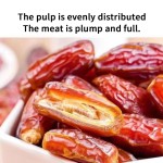 Dried Date Palm Supplier - Natural Sweet Rich Vitamins Bulk