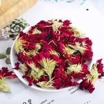 Carnation Flower Factory - Edible Leaves Medicinal Extract OEM