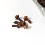 Cloves Supplier - High Quality Granule Shape Export Price