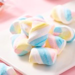 Freeze-Dried Candy Manufacturer - Cotton Candy Fruity Yogurt Halal