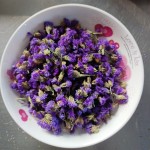 Flower Petals Supplier - Handmade Purple Blue Yellow Decor